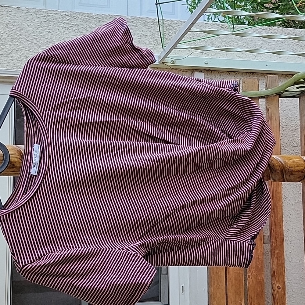 Tops. Size L petite.Good condition. Zara Trafaluc brand.